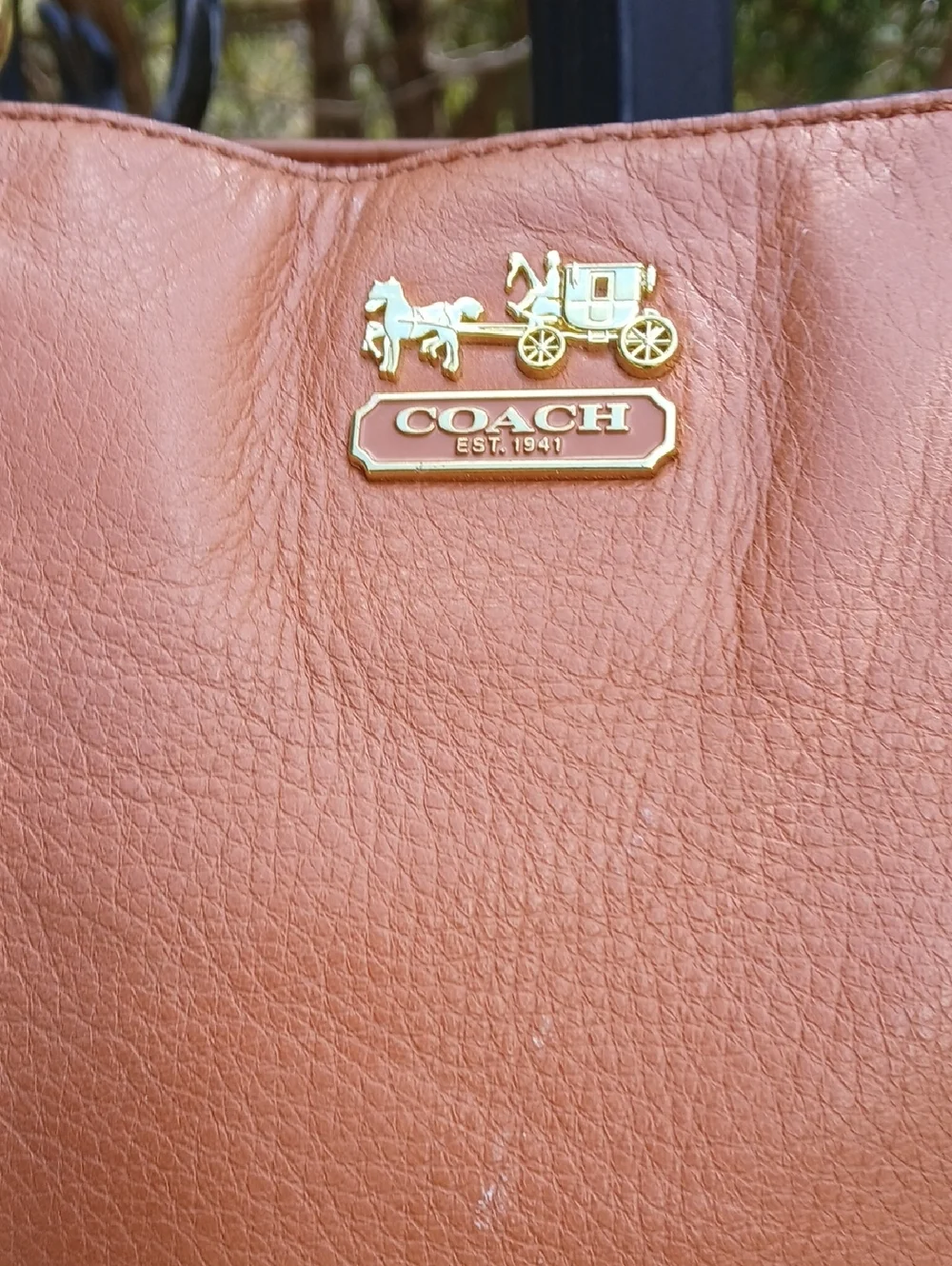 Coach madison chain